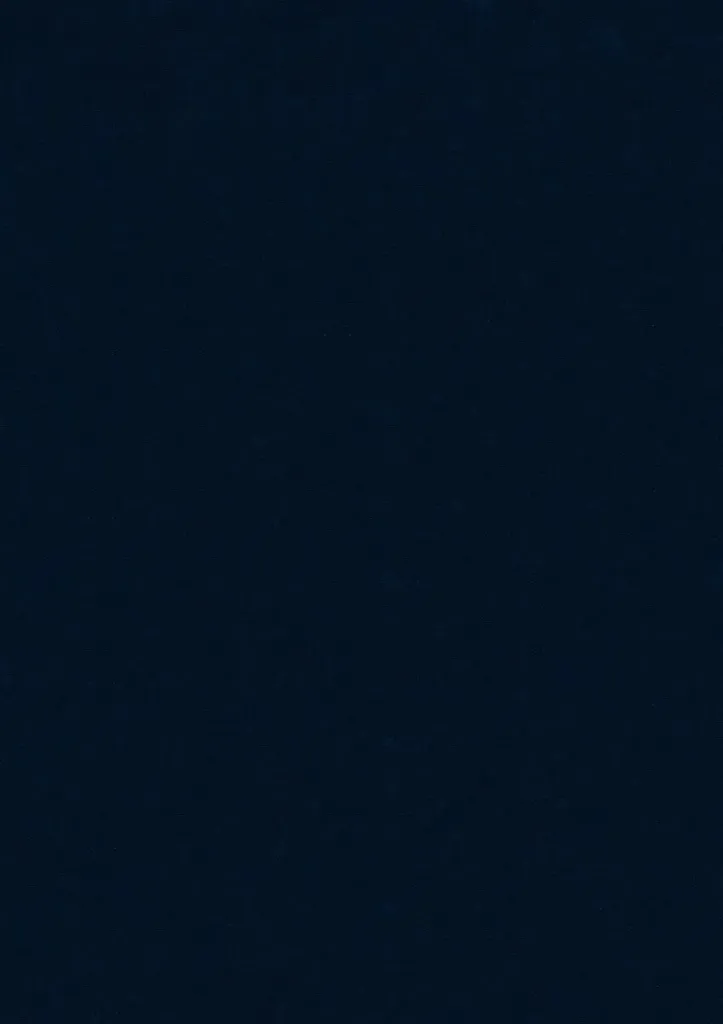 [6023894_1_0] Stamoid Light F4128 10235 260 cm Navy (-)